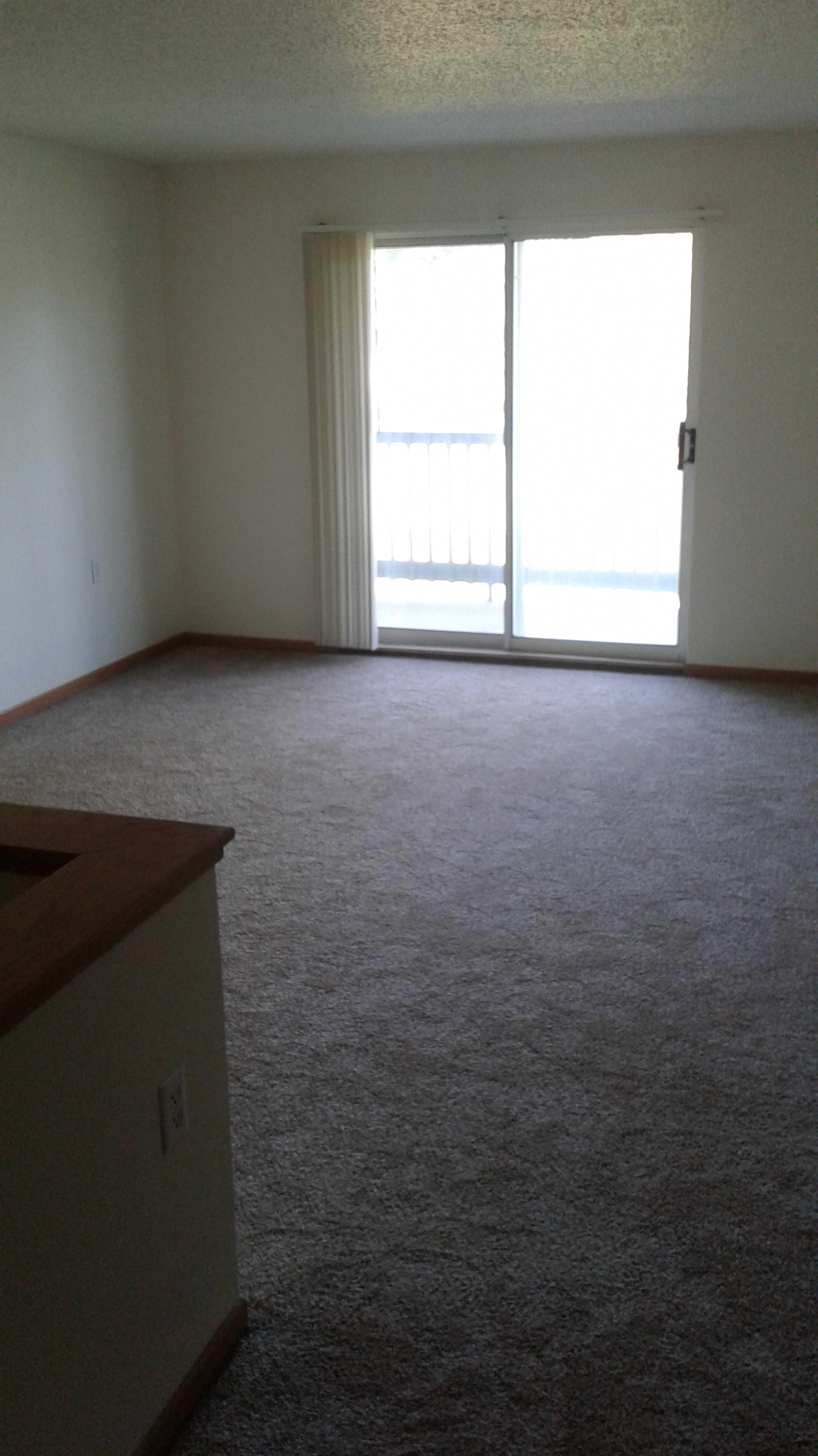 1 bedroom living room - Patio door