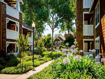 950 Redwood Shores Parkway 1-2 Beds Apartment for Rent - Photo Gallery 3