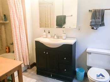 1703-13 Ridge Ave. 2-4 Beds Apartment for Rent - Photo Gallery 5