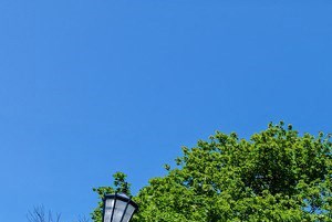 Evanston Il Apartments For Rent Rentcaf 233