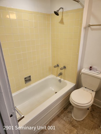 2901-11 N. Seminary Ave. Studio-1 Bed Apartment for Rent - Photo Gallery 5
