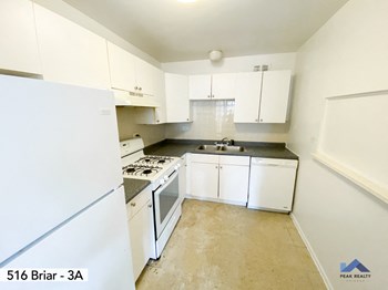516 W. Briar Pl. 1-2 Beds Apartment for Rent - Photo Gallery 3