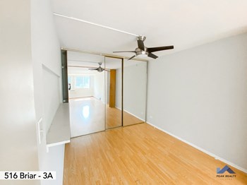 516 W. Briar Pl. 1-2 Beds Apartment for Rent - Photo Gallery 5