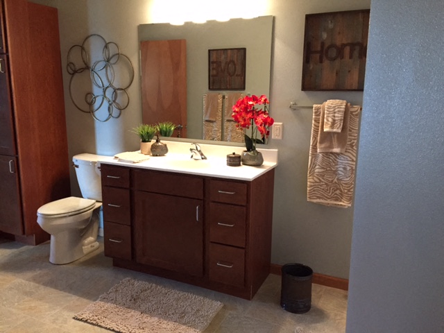 Solid Cultured Marble Bathroom Counter Tops at Paragon Place at Bishops Bay, 5240 Bishops Bay Parkway, Middleton