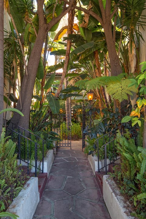 a pathway through a garden with trees and plants