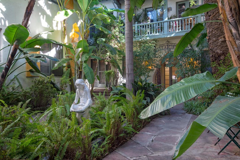 a courtyard with plants and a statue