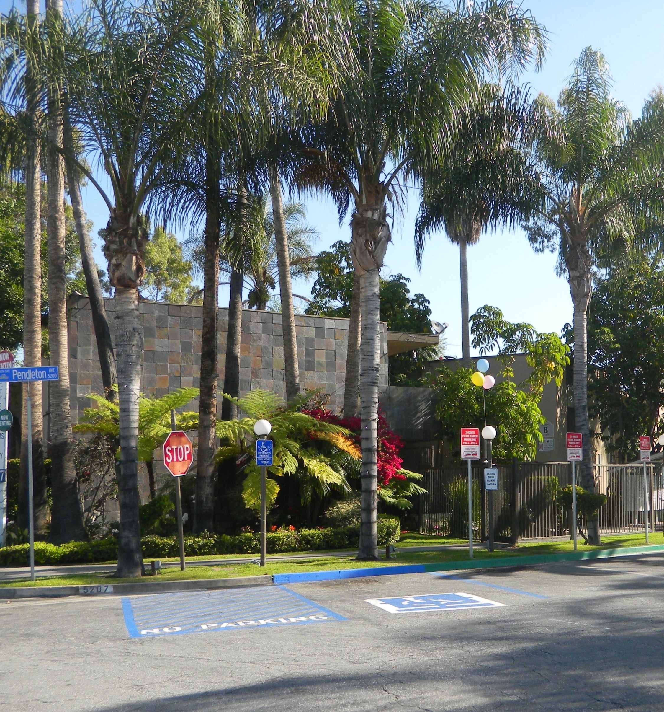 a city street with palm trees and a stop sign