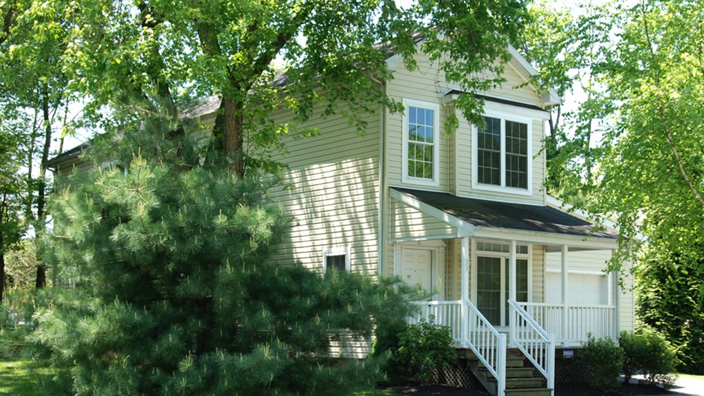 a white house with a large tree in front of it