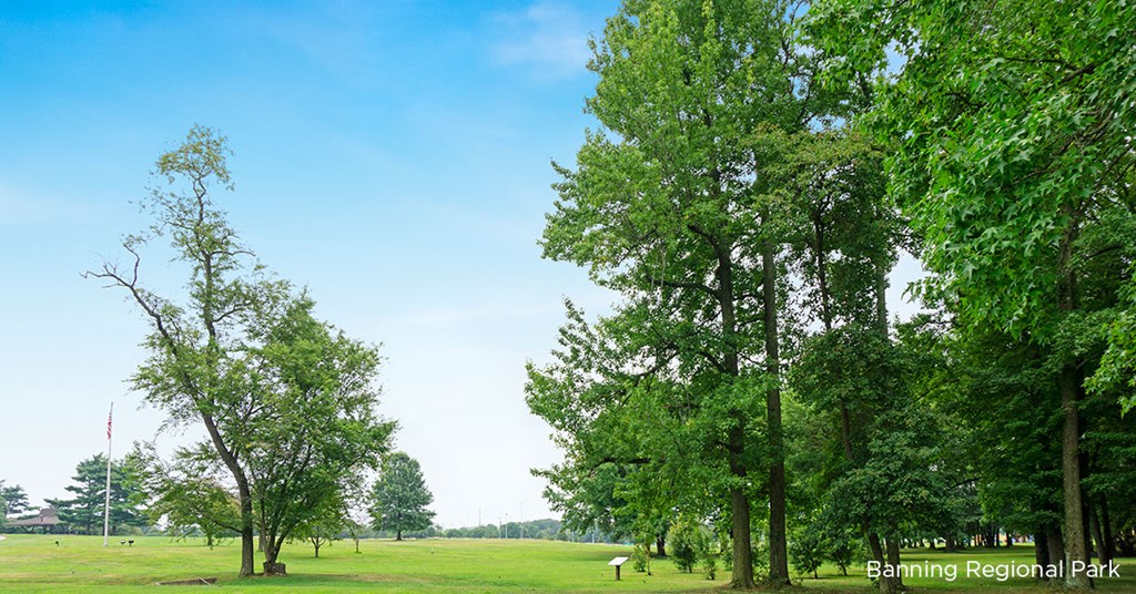 a large field with trees and a blue sky