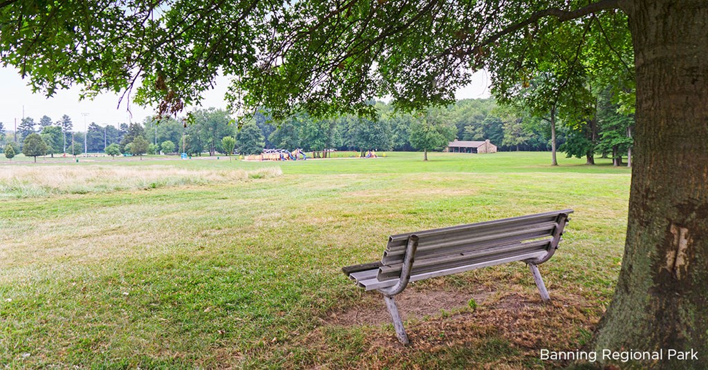 a park bench sitting under a tree in a field