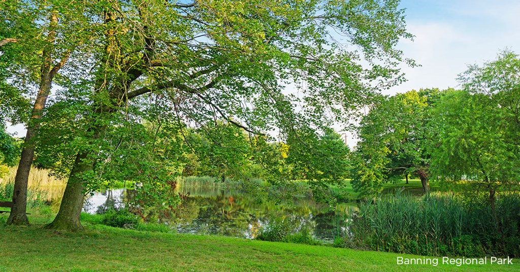 a park with a lake and trees