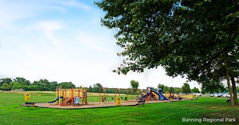 an image of a playground in a park