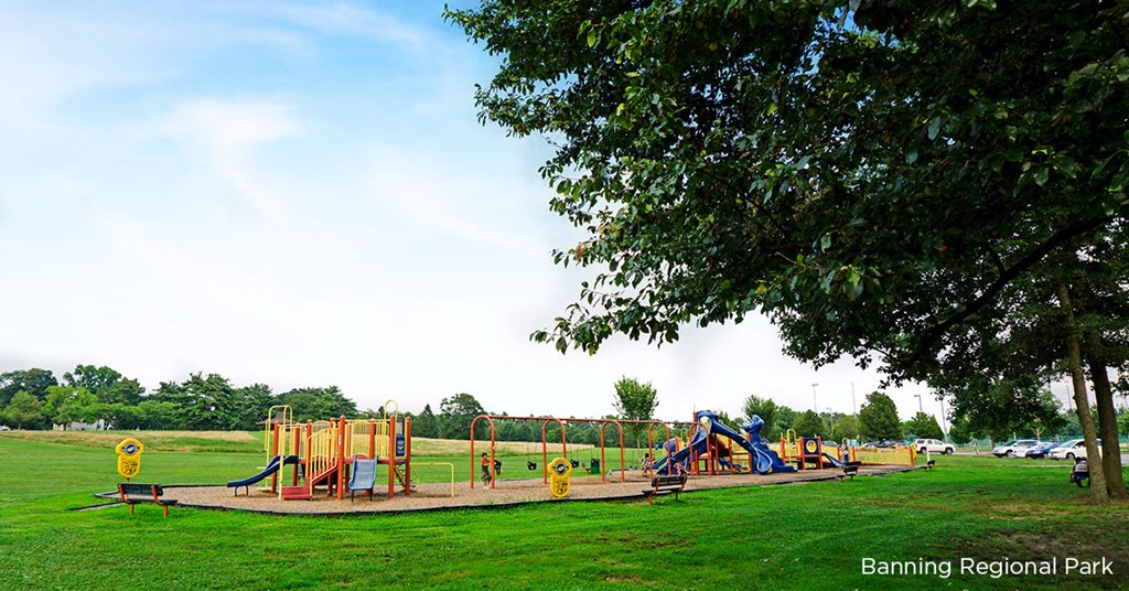 an image of a playground in a park