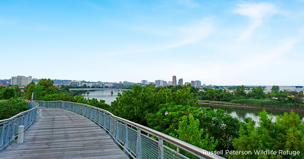 the view of the city from the boardwalk