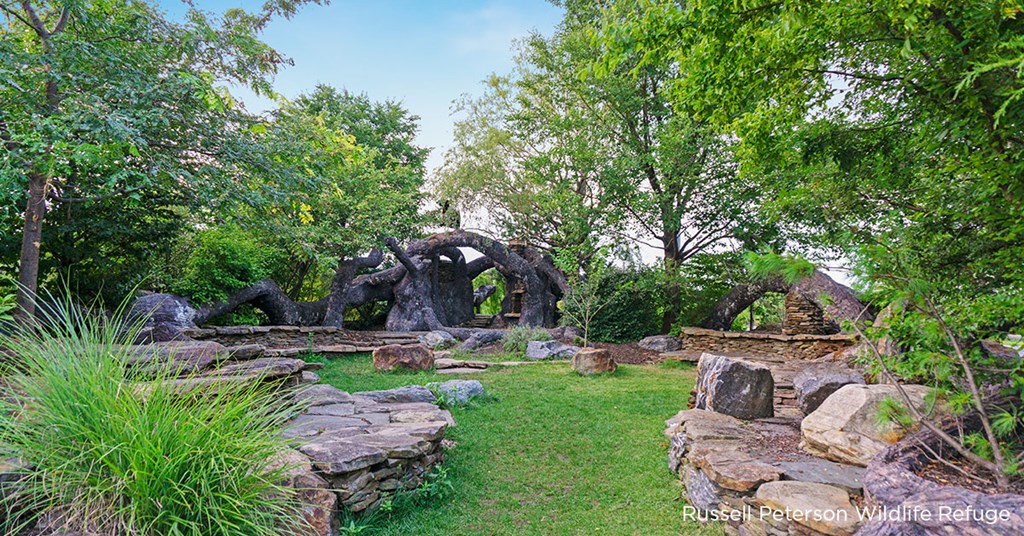 a garden with trees and rocks and grass