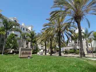 a park with palm trees and a monument in the grass
