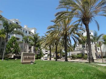 la jolla ca studio apartments for rent rentcafé