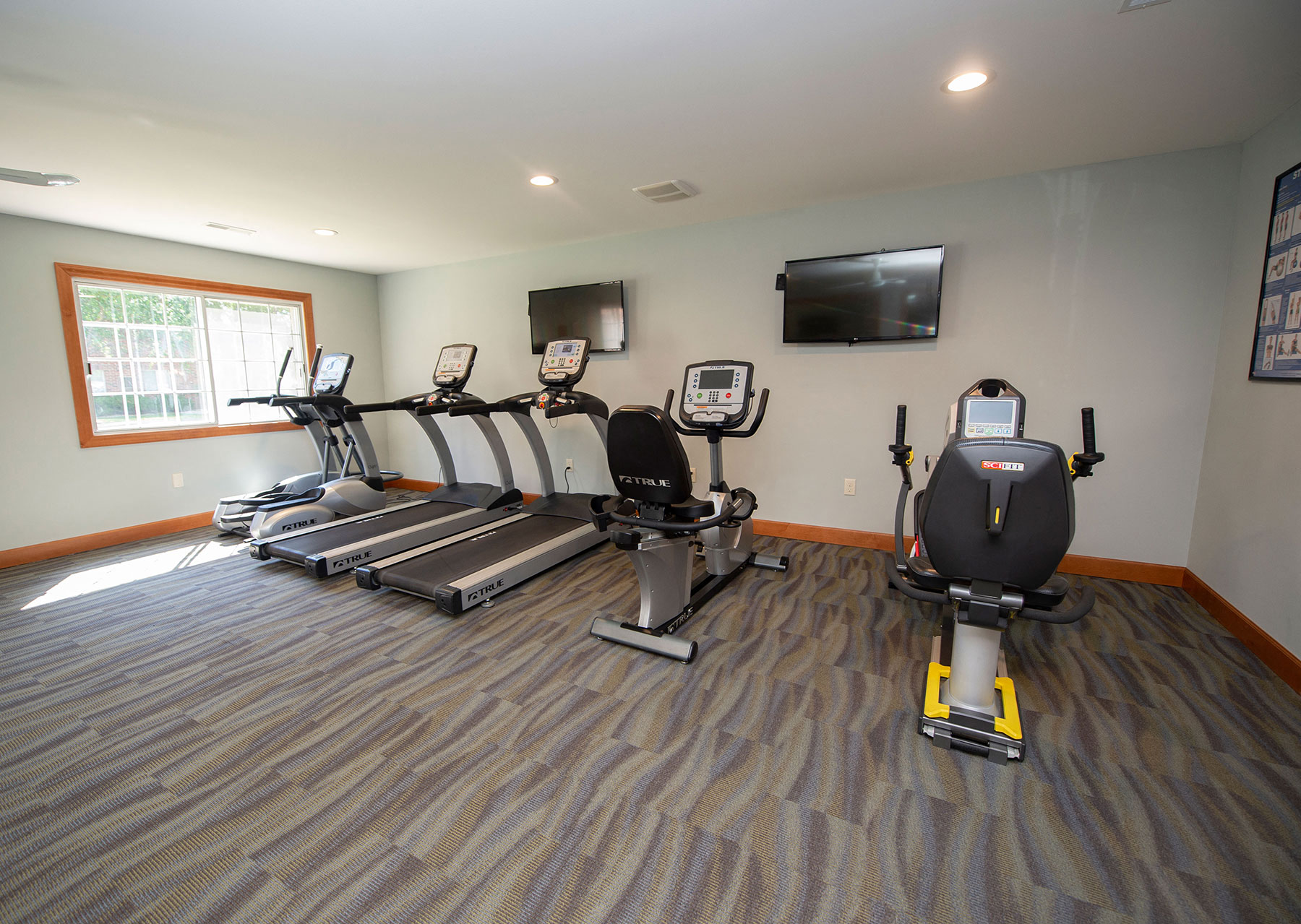 a gym with treadmills and a tv in the corner