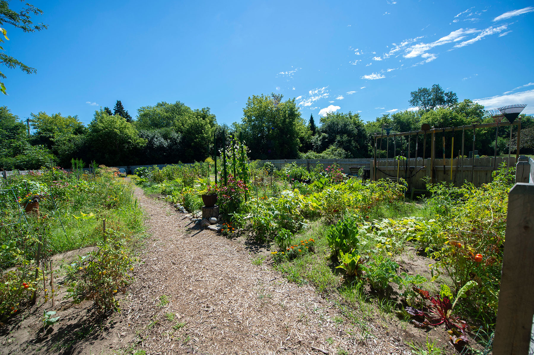 the garden is full of flowers and vegetables and has a dirt path