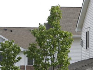 Resort Style Community at Wildwood Highlands Apartments & Townhomes 55+, N78w17445 Wildwood Drive, Menomonee Falls, WI