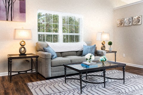 A living room with a grey couch, a black coffee table, and two lamps.