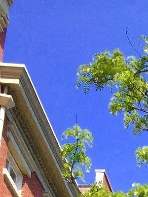 West Village 12 Charles Street Studio-1 Bed Apartment for Rent - Photo Gallery 2