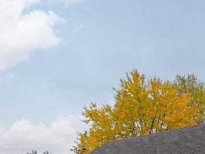 7458 Crosscreek Drive 1-2 Beds Apartment, Condo, Townhouse for Rent - Photo Gallery 2