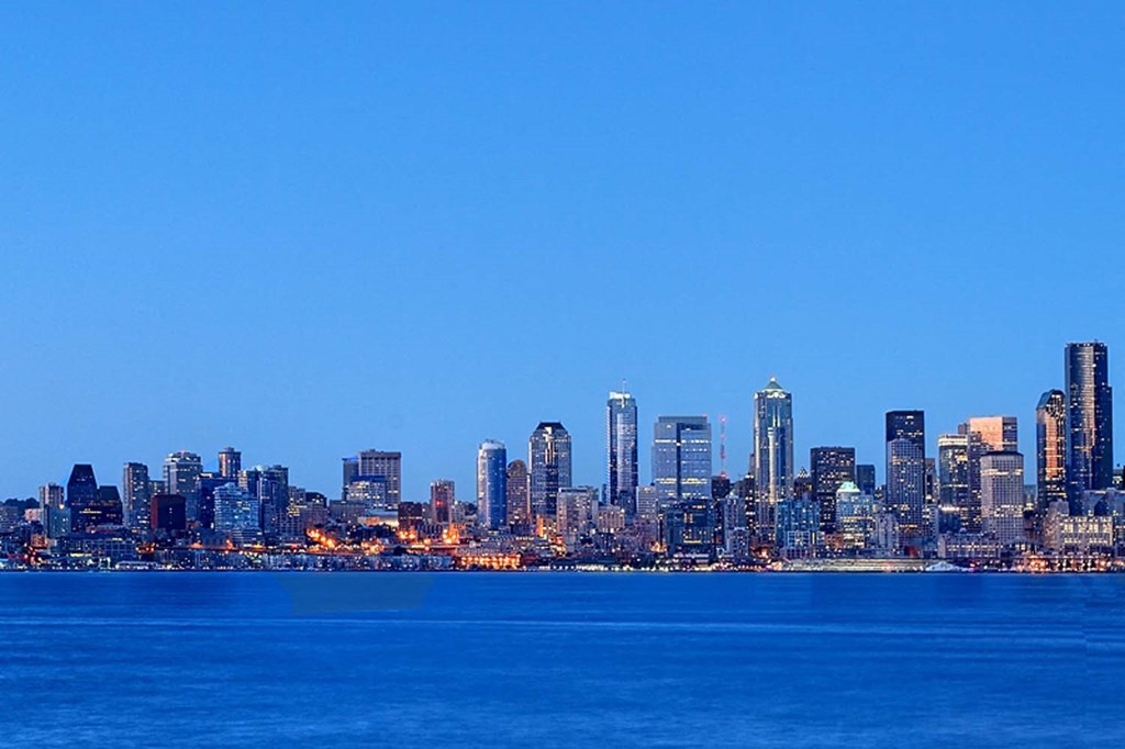 a view of the skyline at night