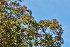 Apartments For Rent In Glenville Ct Apartments For Rent In Glenville Ct