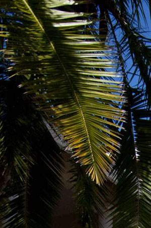 Lincoln Pointe Apartments, 17900 NE 31st Court, Aventura, FL - RENTCafé