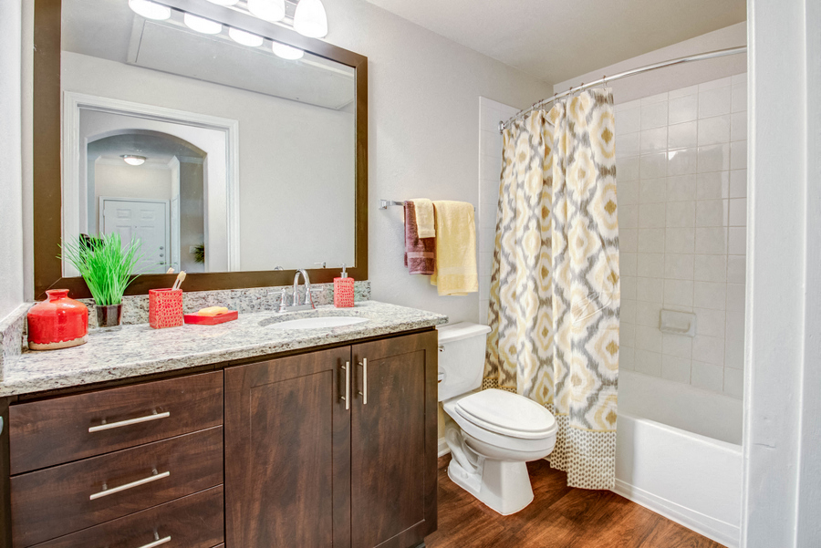 Bathroom with framed mirror and wood-style flooring