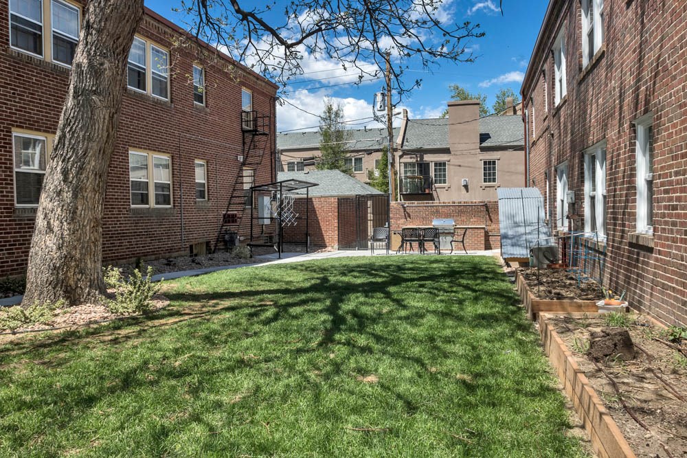 the backyard of a house with a yard and a tree
