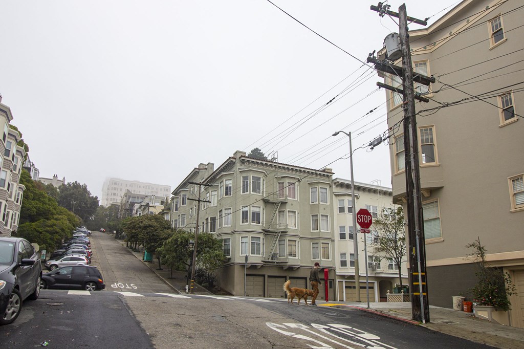 a dog walking down a street in front of a building