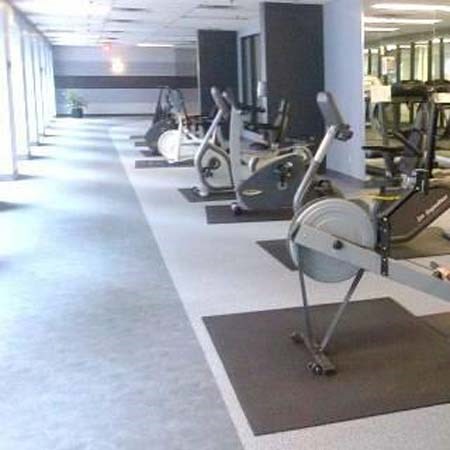 A gym with a row of stationary bikes.