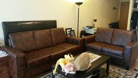A living room with a brown couch and a coffee table.