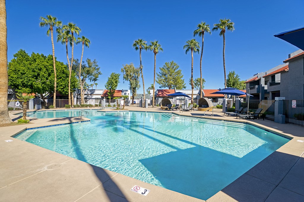 our resort style swimming pool is surrounded by palm trees and our building