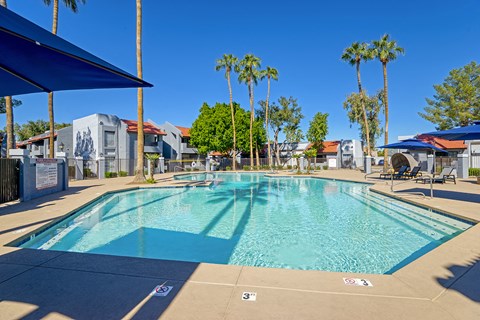 our resort style swimming pool is next to our buildings and palm trees