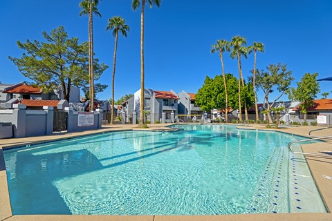 a large pool with palm trees and buildings in the background