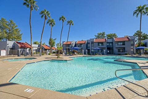 our apartments have a resort style pool with palm trees