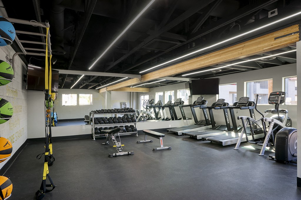 a gym with cardio equipment and weights on the floor
