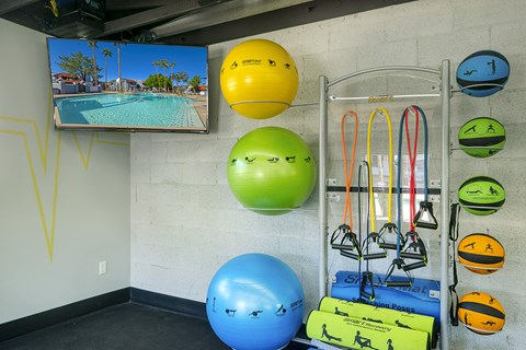 a fitness room with a pool and weights and balls