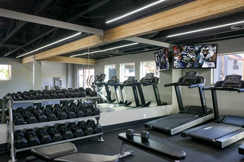 a gym with cardio equipment and weights on a rack