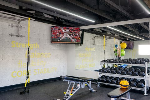 a gym with weights and a tv on the wall
