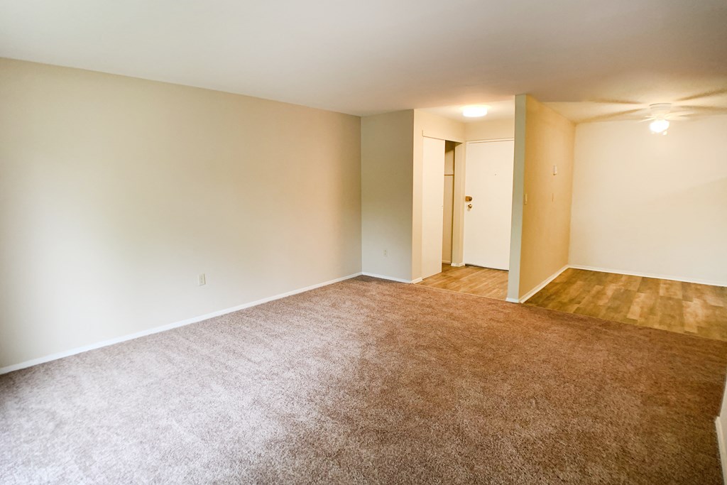 Plush Carpeting  at Barkley Ridge Apartments, Southgate, 41071
