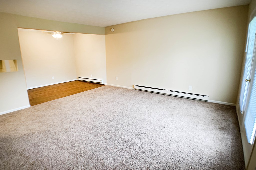 Plush Carpeting  at Concord Woods Apartments, Ohio, 45150
