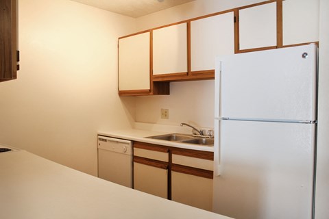a kitchen with a sink and a refrigerator