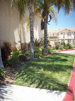 Redlands Towne Square Apartments, 342 Dale Street, Perris, CA - RENTCafé