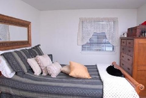 a bedroom with a bed and a cat on it