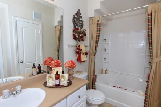 a bathroom with a sink and a tub and a mirror