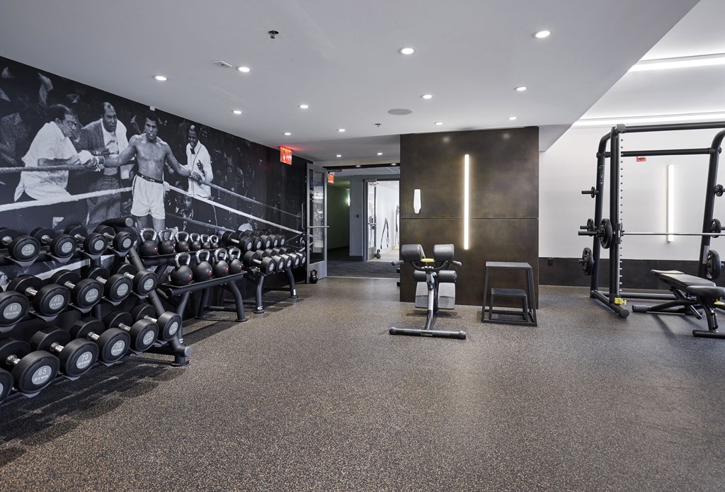 a gym with weights and a mural on the wall